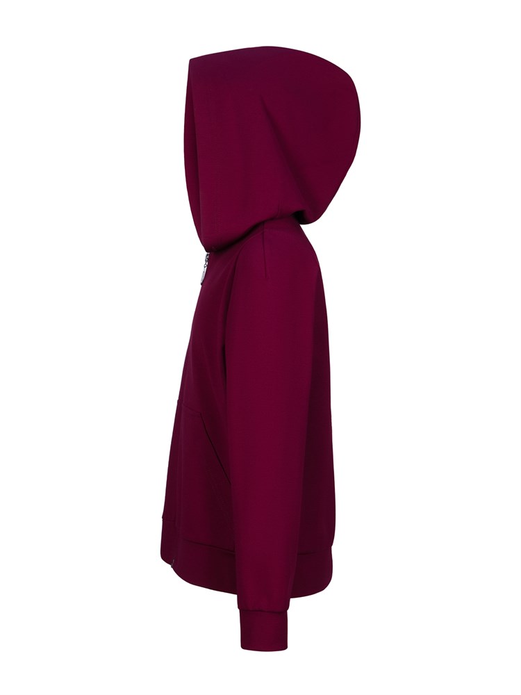 Жакет ХУДИ с капюшоном AJ-1049-бордовый-170 Жакет ХУДИ с капюшоном AJ-1049-бордовый-170