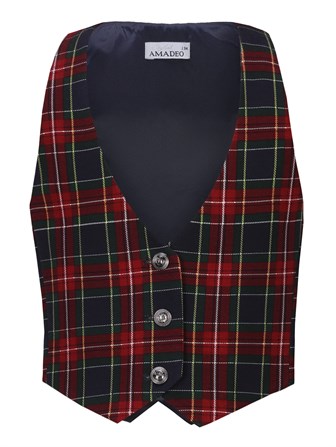 {{photo.Alt || photo.Description || 'Жилет'}}